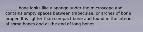 ______ bone looks like a sponge under the microscope and contains empty spaces between trabeculae, or arches of bone proper. It is lighter than compact bone and found in the interior of some bones and at the end of long bones.