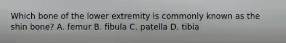 Which bone of the lower extremity is commonly known as the shin bone? A. femur B. fibula C. patella D. tibia