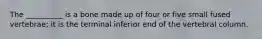The __________ is a bone made up of four or five small fused vertebrae; it is the terminal inferior end of the vertebral column.