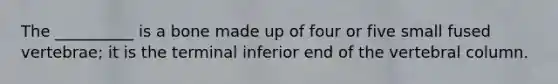 The __________ is a bone made up of four or five small fused vertebrae; it is the terminal inferior end of the <a href='https://www.questionai.com/knowledge/ki4fsP39zf-vertebral-column' class='anchor-knowledge'>vertebral column</a>.
