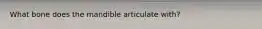 What bone does the mandible articulate with?