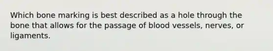 Which bone marking is best described as a hole through the bone that allows for the passage of blood vessels, nerves, or ligaments.