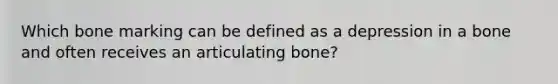 Which bone marking can be defined as a depression in a bone and often receives an articulating bone?