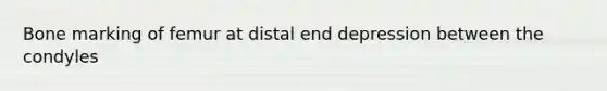 Bone marking of femur at distal end depression between the condyles