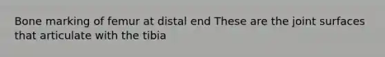 Bone marking of femur at distal end These are the joint surfaces that articulate with the tibia