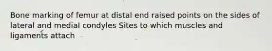 Bone marking of femur at distal end raised points on the sides of lateral and mediaI condyles Sites to which muscles and ligaments attach