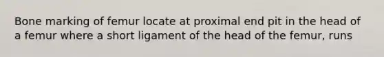Bone marking of femur locate at proximal end pit in the head of a femur where a short ligament of the head of the femur, runs