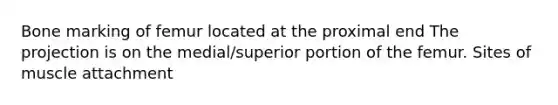 Bone marking of femur located at the proximal end The projection is on the medial/superior portion of the femur. Sites of muscle attachment