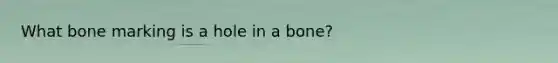 What bone marking is a hole in a bone?