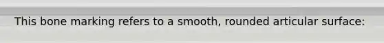 This bone marking refers to a smooth, rounded articular surface: