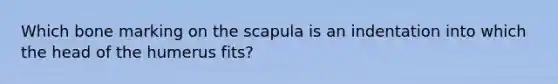 Which bone marking on the scapula is an indentation into which the head of the humerus fits?