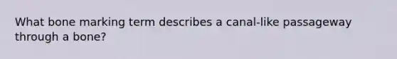 What bone marking term describes a canal-like passageway through a bone?