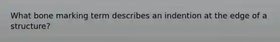 What bone marking term describes an indention at the edge of a structure?