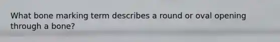 What bone marking term describes a round or oval opening through a bone?