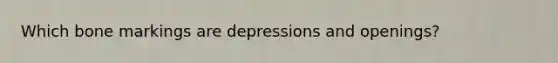 Which bone markings are depressions and openings?