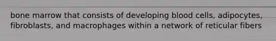 bone marrow that consists of developing blood cells, adipocytes, fibroblasts, and macrophages within a network of reticular fibers