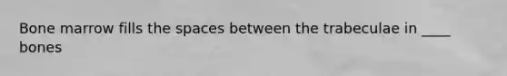 Bone marrow fills the spaces between the trabeculae in ____ bones