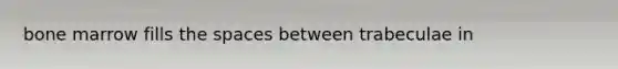 bone marrow fills the spaces between trabeculae in