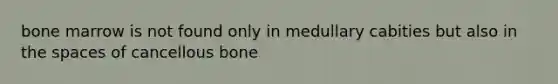 bone marrow is not found only in medullary cabities but also in <a href='https://www.questionai.com/knowledge/k0Lyloclid-the-space' class='anchor-knowledge'>the space</a>s of cancellous bone