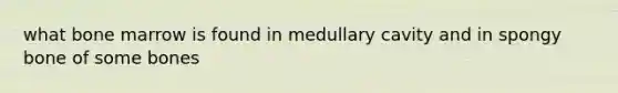 what bone marrow is found in medullary cavity and in spongy bone of some bones