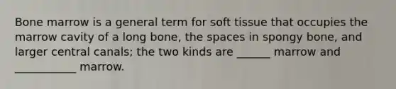 Bone marrow is a general term for soft tissue that occupies the marrow cavity of a long bone, the spaces in spongy bone, and larger central canals; the two kinds are ______ marrow and ___________ marrow.