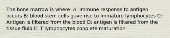 The bone marrow is where: A: immune response to antigen occurs B: blood stem cells guve rise to immature lymphocytes C: Antigen is filtered from the blood D: antigen is filtered from the tissue fluid E: T lymphocytes conplete maturation