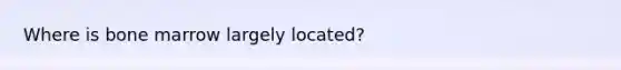 Where is bone marrow largely located?