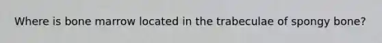 Where is bone marrow located in the trabeculae of spongy bone?