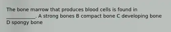 The bone marrow that produces blood cells is found in ____________. A strong bones B compact bone C developing bone D spongy bone