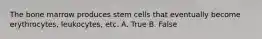 The bone marrow produces stem cells that eventually become erythrocytes, leukocytes, etc. A. True B. False