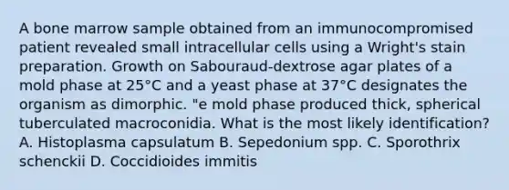 A bone marrow sample obtained from an immunocompromised patient revealed small intracellular cells using a Wright's stain preparation. Growth on Sabouraud-dextrose agar plates of a mold phase at 25°C and a yeast phase at 37°C designates the organism as dimorphic. "e mold phase produced thick, spherical tuberculated macroconidia. What is the most likely identification? A. Histoplasma capsulatum B. Sepedonium spp. C. Sporothrix schenckii D. Coccidioides immitis