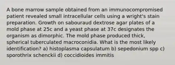 A bone marrow sample obtained from an immunocompromised patient revealed small intracellular cells using a wright's stain preparation. Growth on sabouraud dextrose agar plates of a mold phase at 25c and a yeast phase at 37c designates the organism as dimorphic. The mold phase produced thick, spherical tuberculated macroconidia. What is the most likely identification? a) histoplasma capsulatum b) sepedonium spp c) sporothrix schenckii d) coccidioides immitis