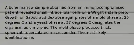 A bone marrow sample obtained from an immunocompromised patient revealed small intracellular cells on a Wright's stain prep. Growth on Sabouraud-dextrose agar plates of a mold phase at 25 degrees C and a yeast phase at 37 degrees C designates the organism as dimorphic. The mold phase produced thick, spherical, tuberculated macroconidia. The most likely identification is