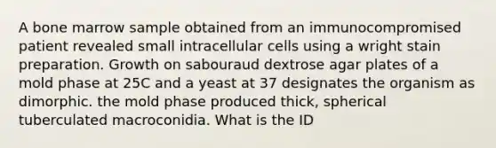 A bone marrow sample obtained from an immunocompromised patient revealed small intracellular cells using a wright stain preparation. Growth on sabouraud dextrose agar plates of a mold phase at 25C and a yeast at 37 designates the organism as dimorphic. the mold phase produced thick, spherical tuberculated macroconidia. What is the ID