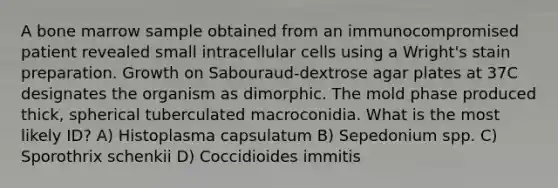 A bone marrow sample obtained from an immunocompromised patient revealed small intracellular cells using a Wright's stain preparation. Growth on Sabouraud-dextrose agar plates at 37C designates the organism as dimorphic. The mold phase produced thick, spherical tuberculated macroconidia. What is the most likely ID? A) Histoplasma capsulatum B) Sepedonium spp. C) Sporothrix schenkii D) Coccidioides immitis