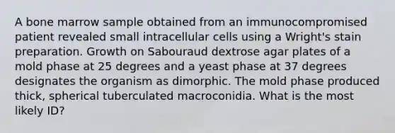 A bone marrow sample obtained from an immunocompromised patient revealed small intracellular cells using a Wright's stain preparation. Growth on Sabouraud dextrose agar plates of a mold phase at 25 degrees and a yeast phase at 37 degrees designates the organism as dimorphic. The mold phase produced thick, spherical tuberculated macroconidia. What is the most likely ID?