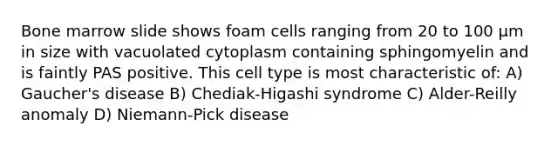 Bone marrow slide shows foam cells ranging from 20 to 100 µm in size with vacuolated cytoplasm containing sphingomyelin and is faintly PAS positive. This cell type is most characteristic of: A) Gaucher's disease B) Chediak-Higashi syndrome C) Alder-Reilly anomaly D) Niemann-Pick disease