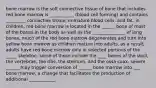 bone marrow is the soft connective tissue of bone that includes red bone marrow is ___________ (blood cell forming) and contains _________ connective tissue, immature blood cells, and fat. in children, red bone marrow is located in the ______ bone of most of the bones in the body as well as the _______________ of long bones. much of the red bone marrow degenerates and turn into yellow bone marrow as children mature into adults. as a result, adults have red bone marrow only in selected portions of the _____ skeleton. some of these include the ____ bones of the skull, the vertebrae, the ribs, the sternum, and the ossa coax. severe ______ may trigger conversion of ______ bone marrow into ___ bone marrow, a change that facilitates the production of additional ____________