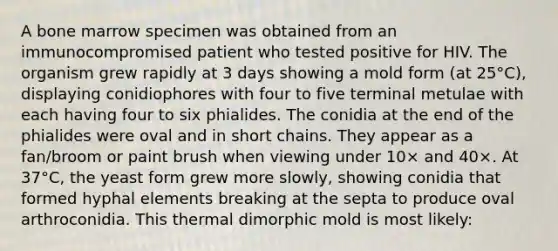 A bone marrow specimen was obtained from an immunocompromised patient who tested positive for HIV. The organism grew rapidly at 3 days showing a mold form (at 25°C), displaying conidiophores with four to five terminal metulae with each having four to six phialides. The conidia at the end of the phialides were oval and in short chains. They appear as a fan/broom or paint brush when viewing under 10× and 40×. At 37°C, the yeast form grew more slowly, showing conidia that formed hyphal elements breaking at the septa to produce oval arthroconidia. This thermal dimorphic mold is most likely: