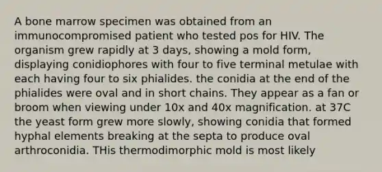 A bone marrow specimen was obtained from an immunocompromised patient who tested pos for HIV. The organism grew rapidly at 3 days, showing a mold form, displaying conidiophores with four to five terminal metulae with each having four to six phialides. the conidia at the end of the phialides were oval and in short chains. They appear as a fan or broom when viewing under 10x and 40x magnification. at 37C the yeast form grew more slowly, showing conidia that formed hyphal elements breaking at the septa to produce oval arthroconidia. THis thermodimorphic mold is most likely