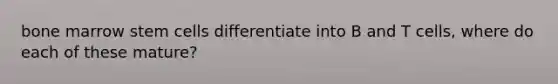 bone marrow stem cells differentiate into B and T cells, where do each of these mature?