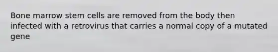 Bone marrow stem cells are removed from the body then infected with a retrovirus that carries a normal copy of a mutated gene