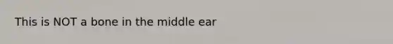 This is NOT a bone in the middle ear