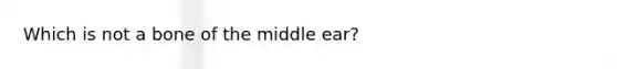 Which is not a bone of the middle ear?