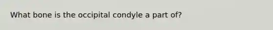 What bone is the occipital condyle a part of?