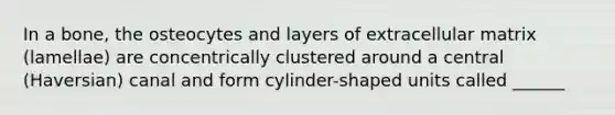 In a bone, the osteocytes and layers of extracellular matrix (lamellae) are concentrically clustered around a central (Haversian) canal and form cylinder-shaped units called ______