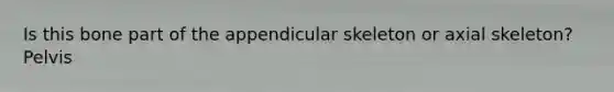Is this bone part of the appendicular skeleton or axial skeleton? Pelvis