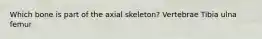 Which bone is part of the axial skeleton? Vertebrae Tibia ulna femur