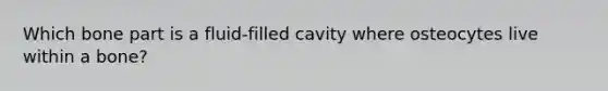 Which bone part is a fluid-filled cavity where osteocytes live within a bone?