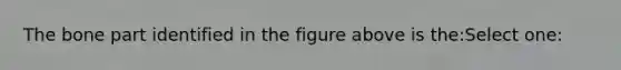 The bone part identified in the figure above is the:Select one: